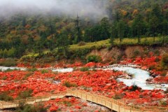 海螺壹號(hào)-木格措、瀘定橋、紅石公園、磨西古鎮(zhèn)3日游